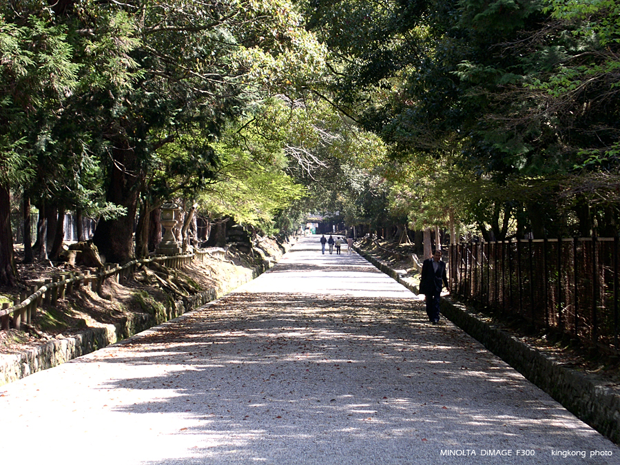PICT1676.JPG - 奈良 - 春日大社
