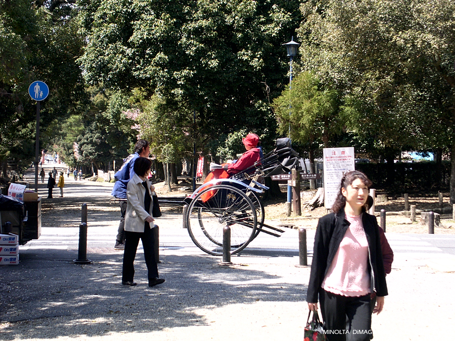 PICT1677.JPG - 奈良 - 春日大社