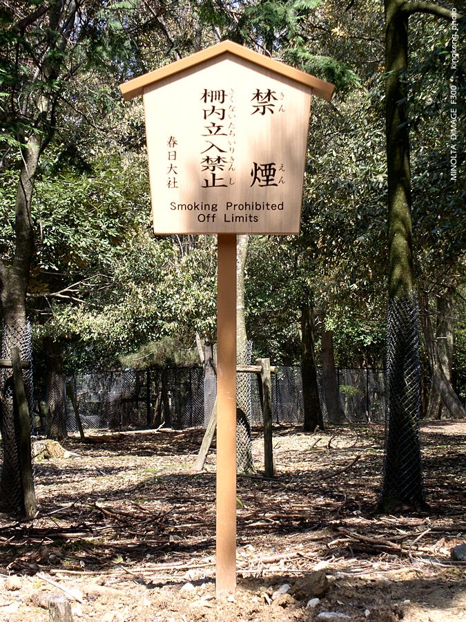 PICT1678.JPG - 奈良 - 春日大社
