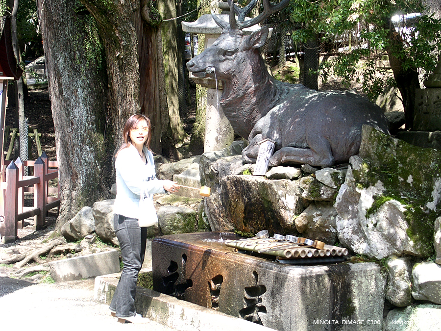 PICT1693.JPG - 奈良 - 春日大社