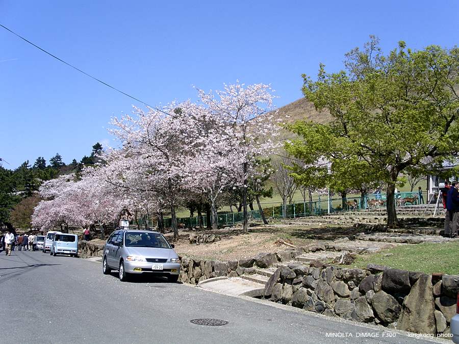 PICT1720.JPG - 奈良
