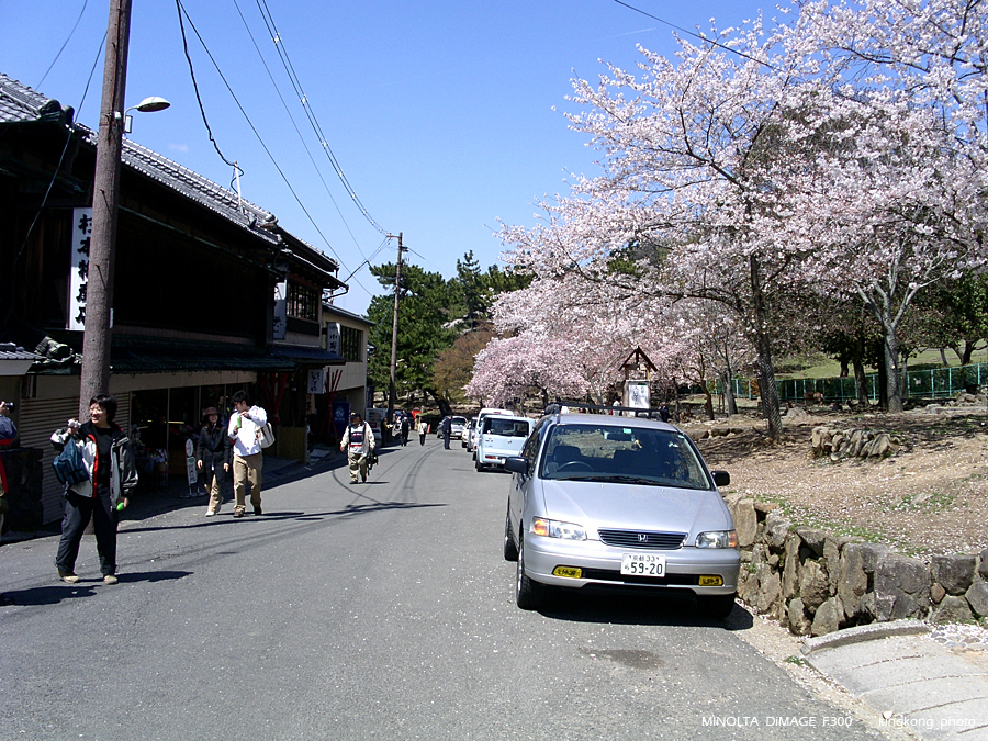 PICT1721.JPG - 奈良