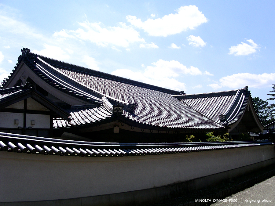 PICT1747.JPG - 奈良