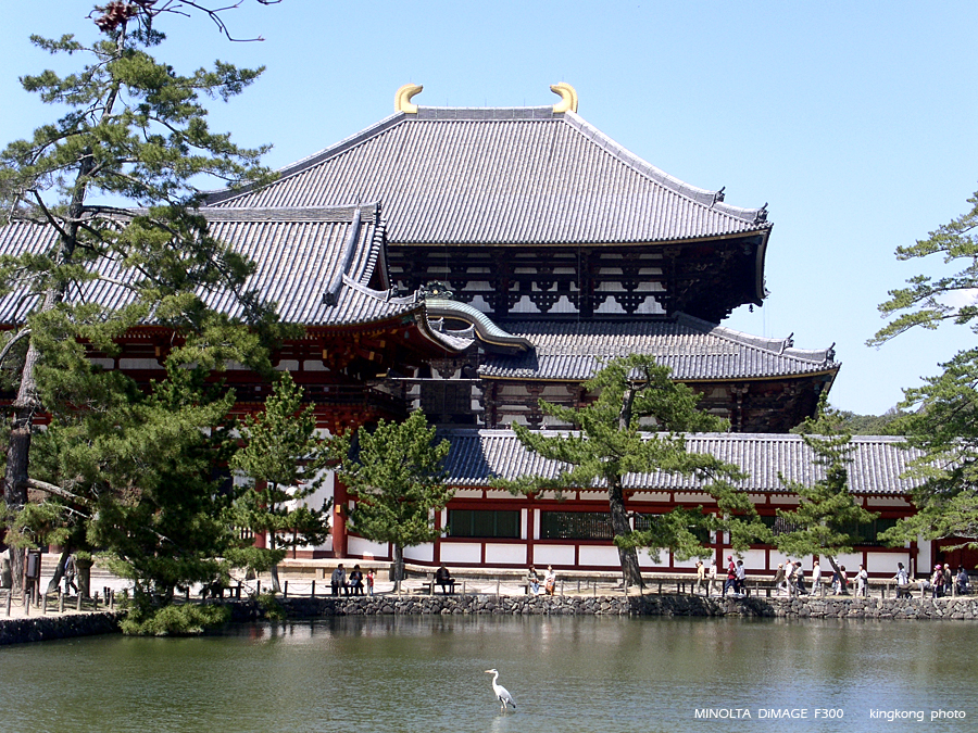 PICT1748.JPG - 奈良 - 東大寺
