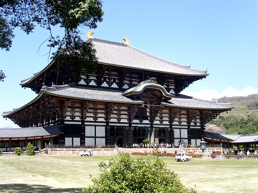 PICT1754.JPG - 奈良 - 東大寺