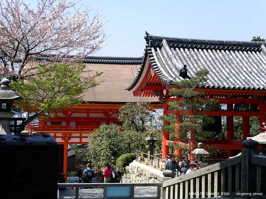 PICT1822.JPG - 京都 - 清水寺