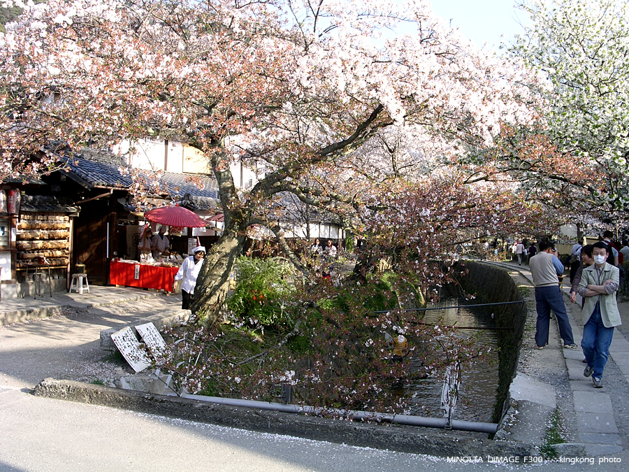 PICT1924.JPG - 京都 - 哲學之道