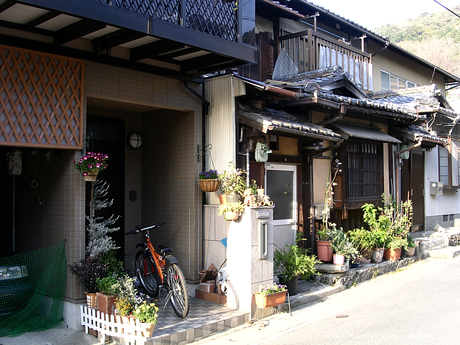 PICT1952.JPG - 京都 - 哲學之道