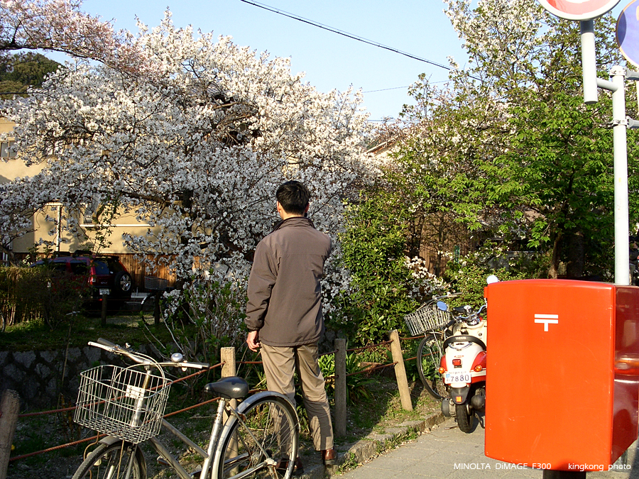 PICT1961.JPG - 京都 - 哲學之道