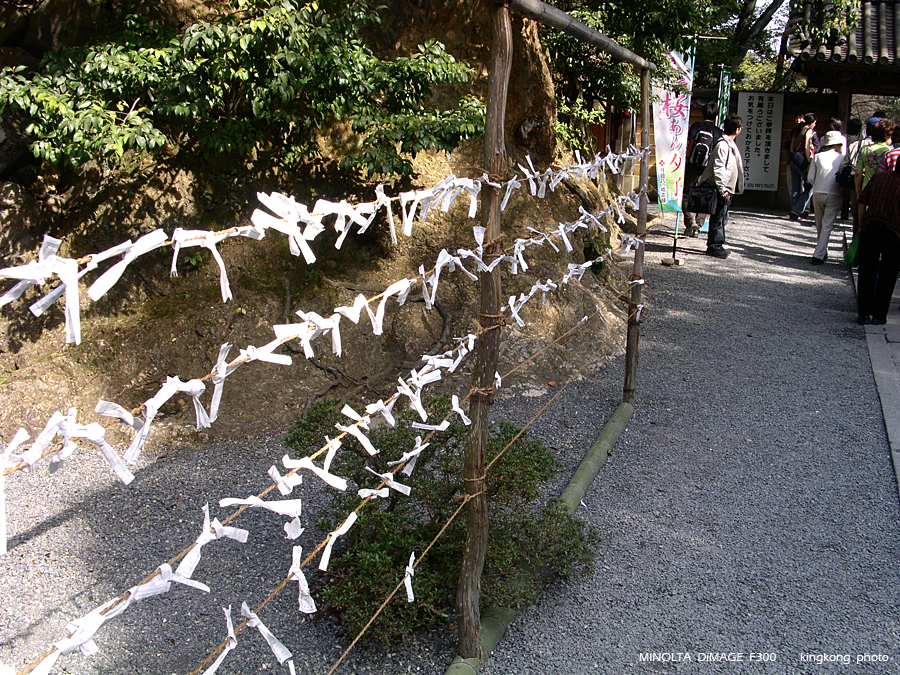 PICT2045.JPG - 京都 - 金閣寺