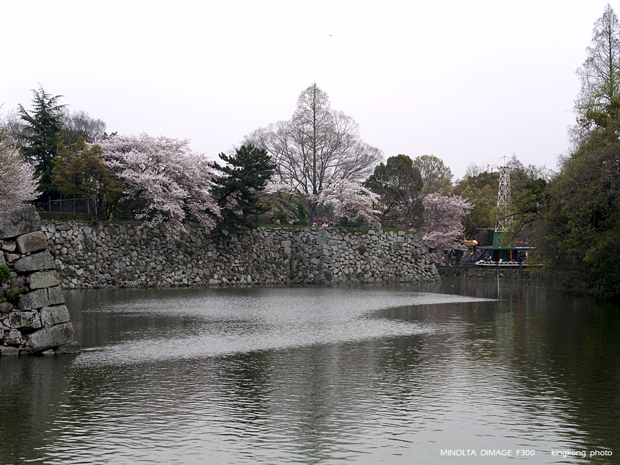PICT2099.JPG - 姖路城