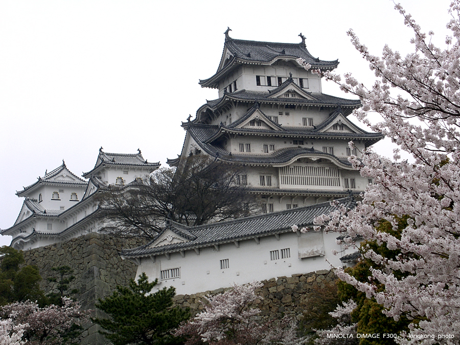 PICT2121.JPG - 姖路城