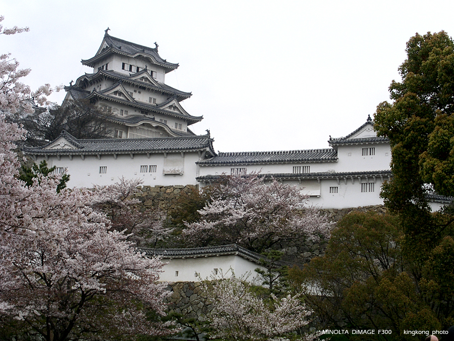 PICT2124.JPG - 姖路城