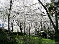 PICT1581