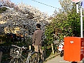 PICT1961