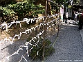 PICT2045