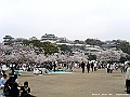 PICT2107