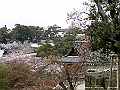 PICT2128
