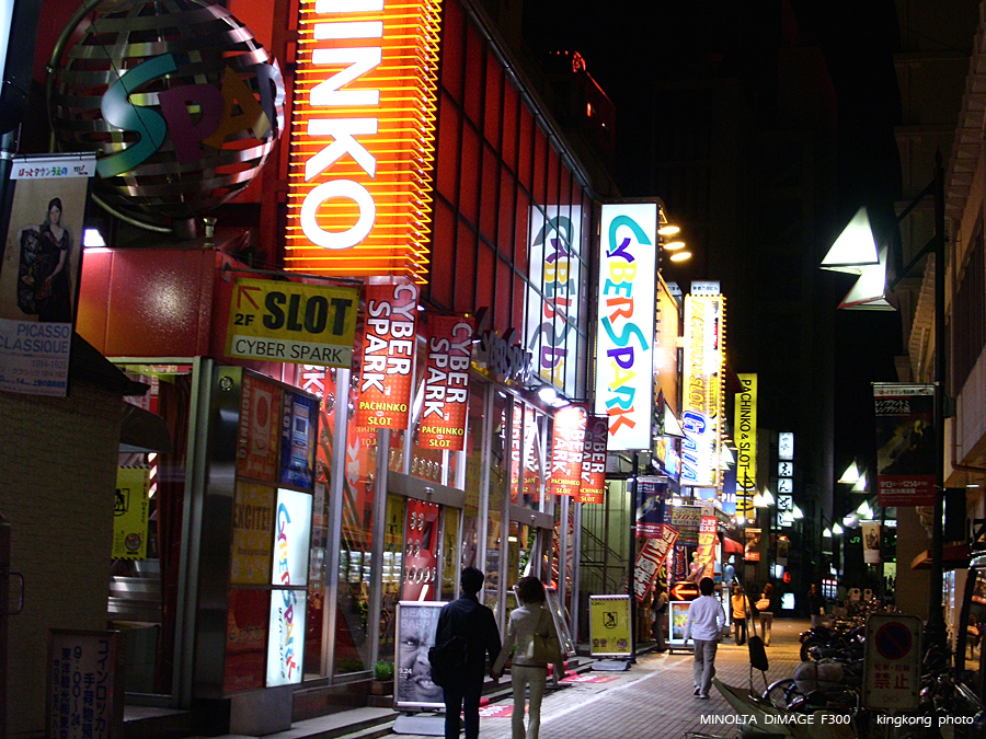 PICT0503.JPG - 上野