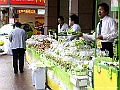 PICT0218