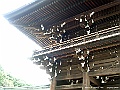 PICT0409