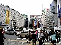 PICT0551