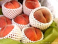 PICT0555