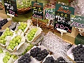 PICT0562