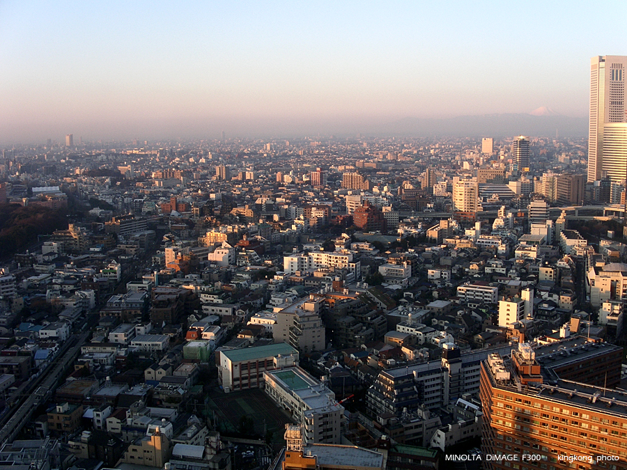 PICT1153.JPG - 新宿