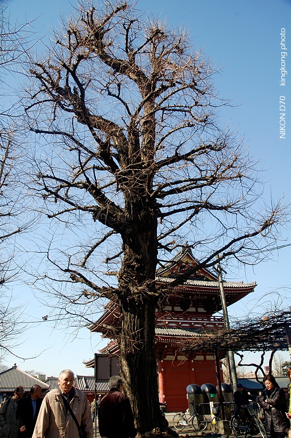 _DSC3195.jpg - 淺草-雷門