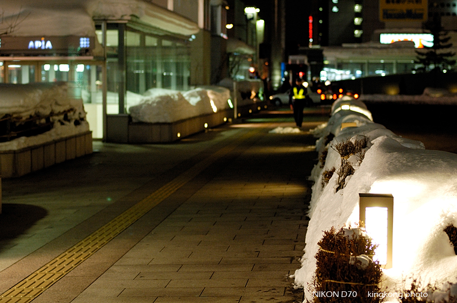 _DSC3559.jpg - 札幌