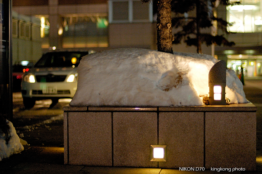 _DSC3571.jpg - 札幌