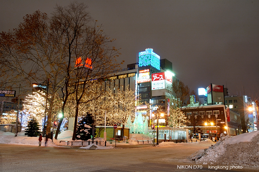 _DSC4061.jpg - 札幌大通公園