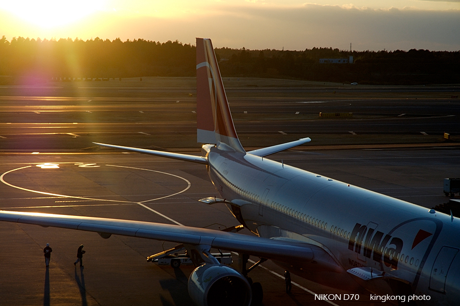 _DSC4160.jpg - 成田空港
