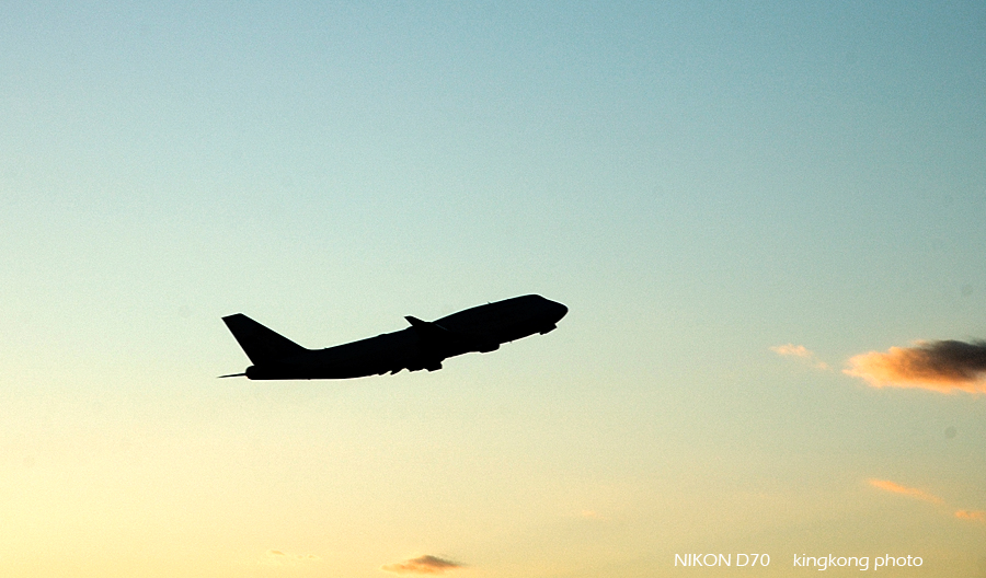 _DSC4184.jpg - 成田空港