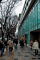 _DSC3425