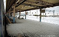 _DSC3435
