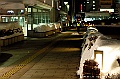 _DSC3559