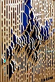 _DSC3617