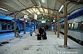_DSC3654