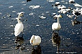 _DSC3749