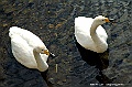 _DSC3750