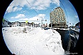 _DSC3773