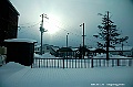 _DSC3784