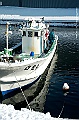 _DSC3872
