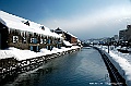_DSC3884
