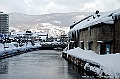_DSC3906