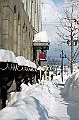 _DSC3916