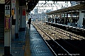 _DSC4095