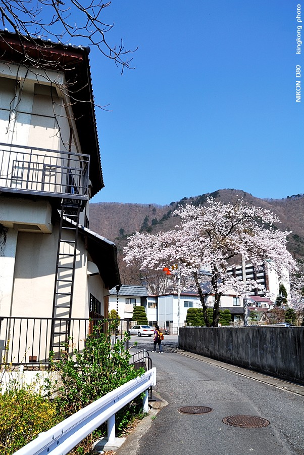 DSC_7423.jpg - 鬼怒川